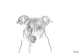 jack russell terrier Coloring Pages To Print